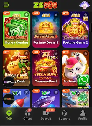 ZS999 Game