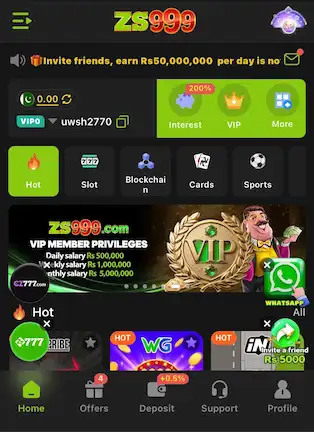 ZS999 Game