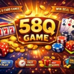 58Q Game