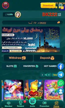 DK222 Game