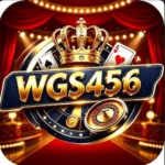WGS456 Game